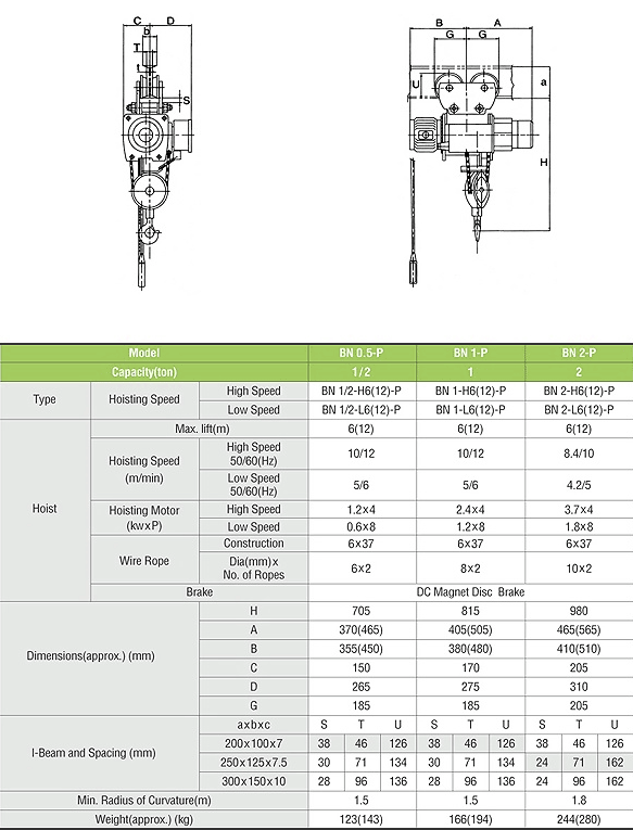 Regular Type Hoist with Hand-push Trolley