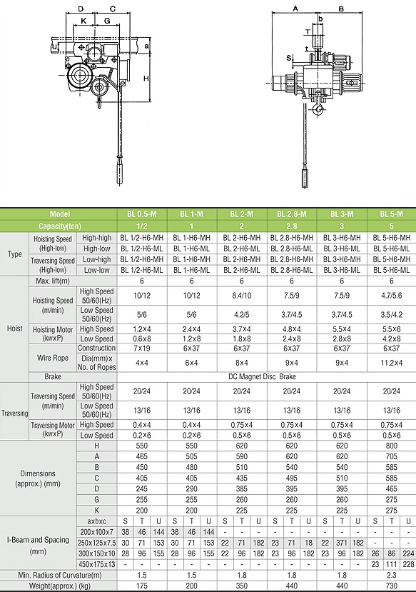 Double-Row-Head Type Hoist with Motor-Drive Trolley